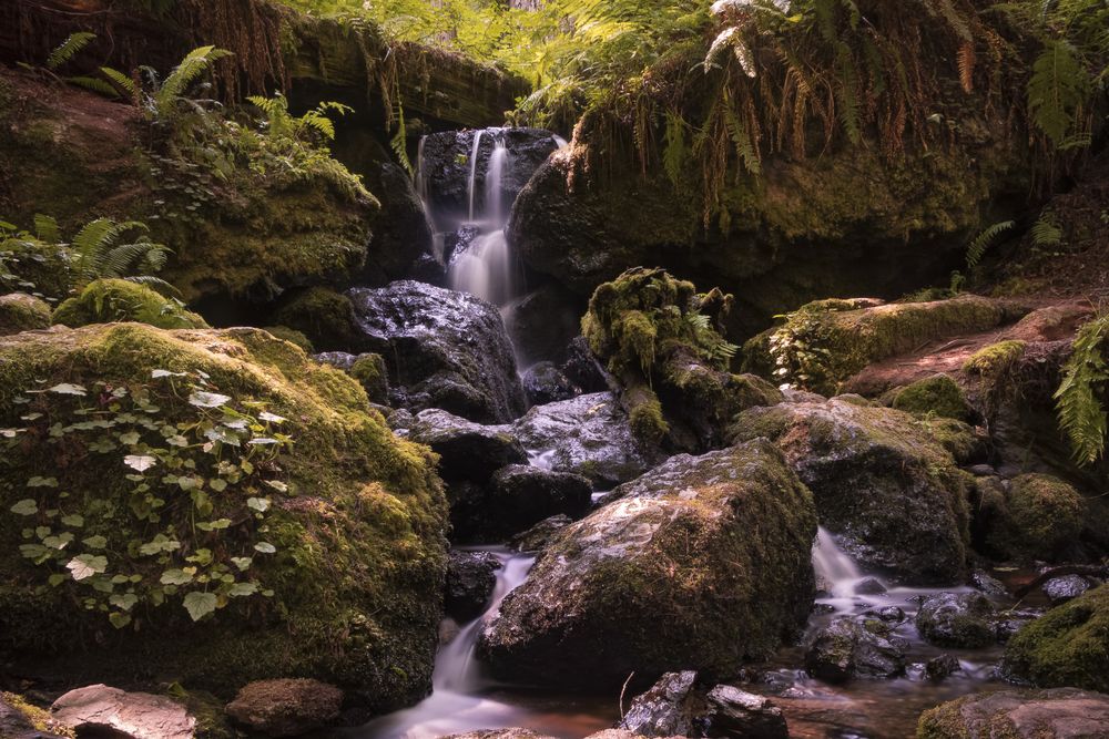 Beautiful small waterfall around mossy rocks