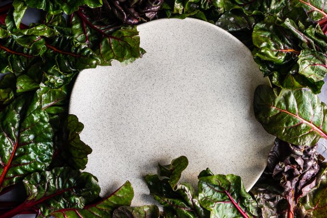 Fresh spinach leaves framing grey ceramic plate with copy space in center