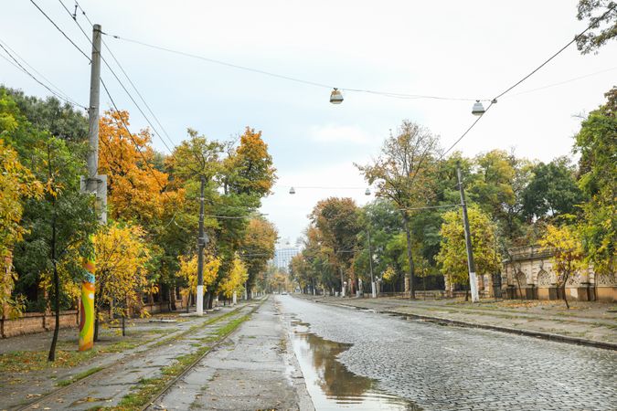 Rainy, autumn, city park in the morning