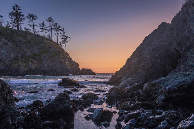 Trees, cliffs and rock pools in late afternoon