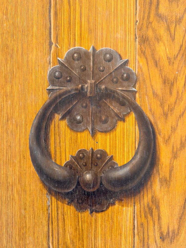 Painted door knocker