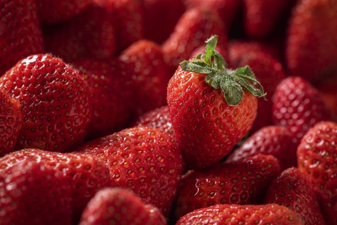 Close up of ripe strawberries fruits