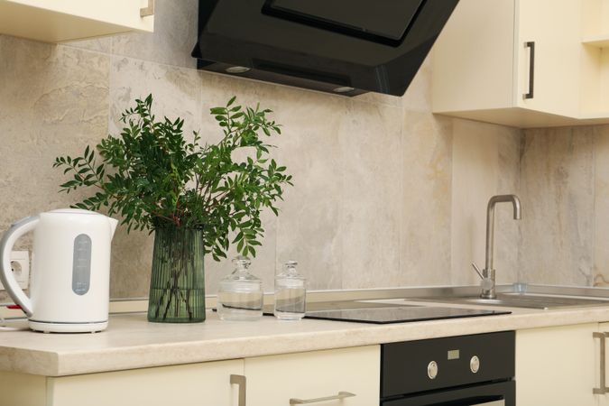 Vase with plant and electric kettle on kitchen table