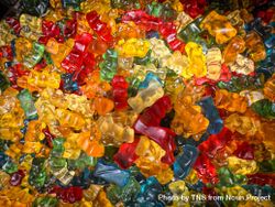 Colorful gummy bears 4AzGBY