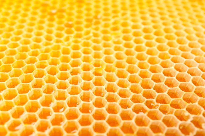 Honeycombs with sweet golden honey on whole background, close up