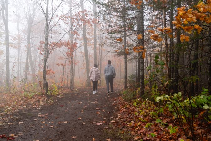 Back of two people walking in the forest