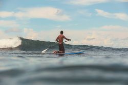 Man with paddle on surf board waving on water