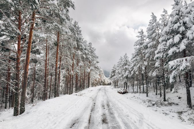 Winter snowy empty country road