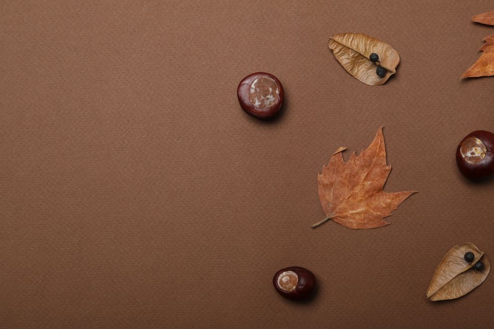 Fresh and ripe chestnuts, space for text