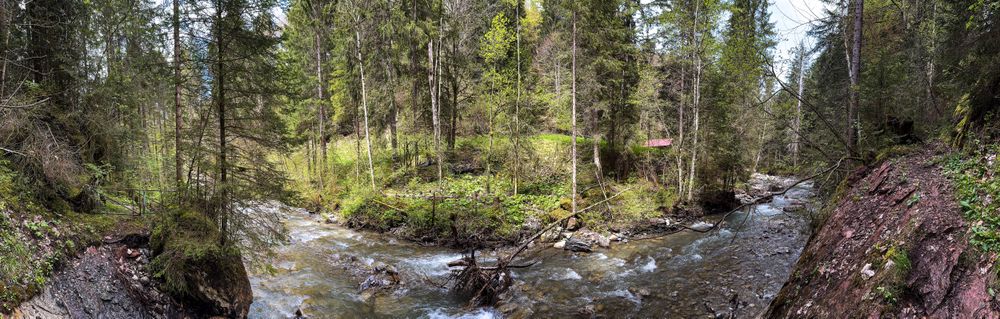 river trail, Rougemont, Vaud