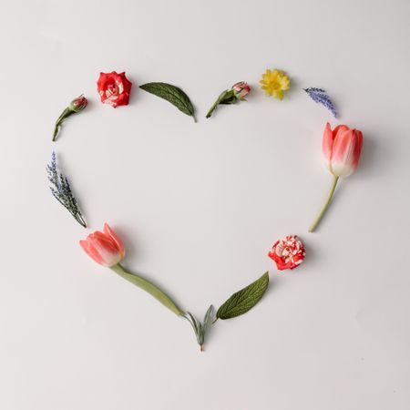 Heart shape spring flowers and leaves