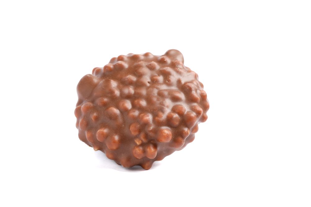 Chocolate cookie with caramel filling isolated on plain background
