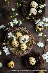 Top view of cute Easter holiday card concept of nest and speckled eggs on wooden table 0WOOv1