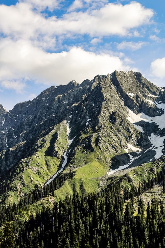 Forested green mountains in Kumrat Valley in Pakistan
