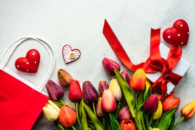 Red bag of fresh tulips on grey background with heart ornaments, present and copy space