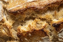 Macro shot of sourdough bread