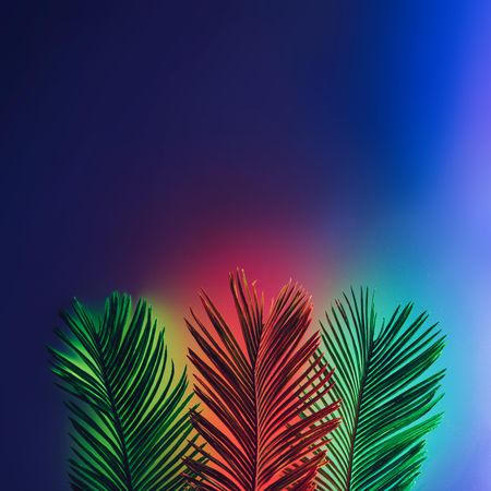 Neon tropical palm leaves layout in vivid fluorescent colors on purple background