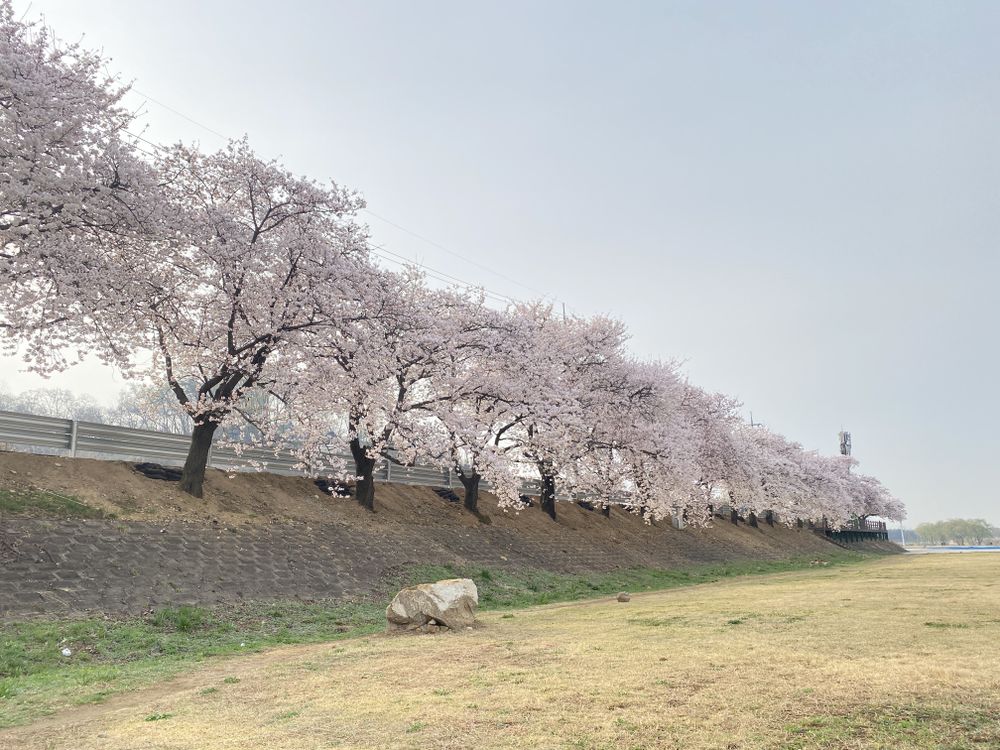 a spring road