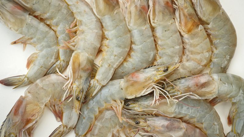 Fresh shrimps isolated on light background