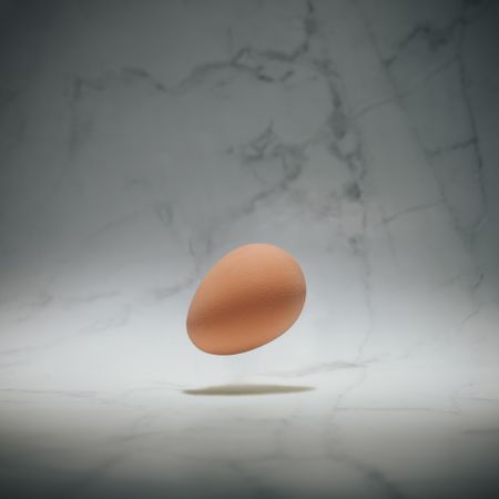 Brown egg on marble background