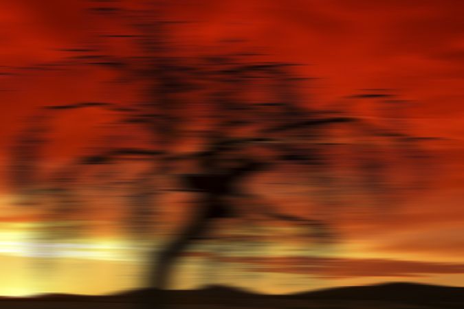 Defocused trees in sunset valley