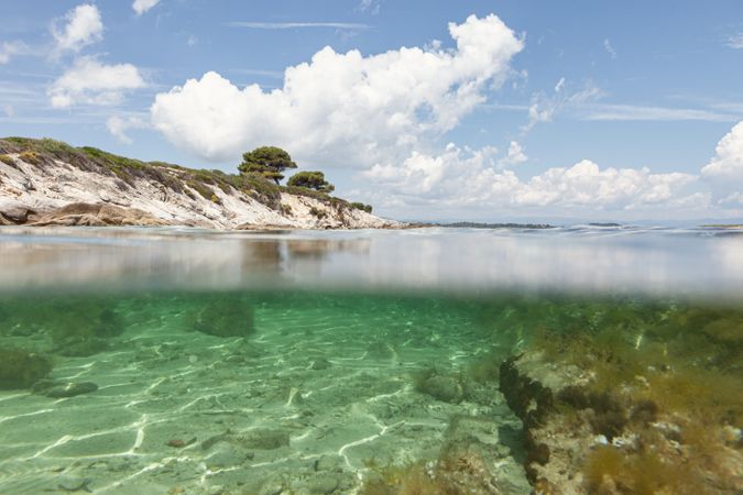 Stony island with bright greenery surrounded by water
