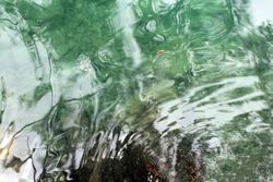 Green clear water