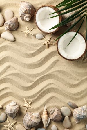 Seashells, starfishes, coconut and palm branch on sea sand background, space for text