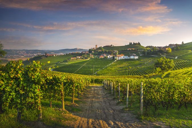 Barbaresco village and Langhe vineyards, Piedmont, Italy