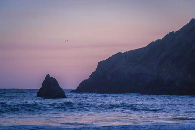 Cliffs at sunset or sunrise with a single bird flying