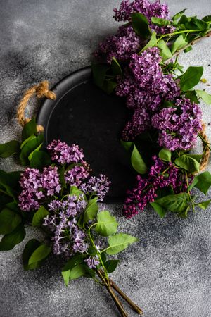 Top view of bowl with lilac flowers