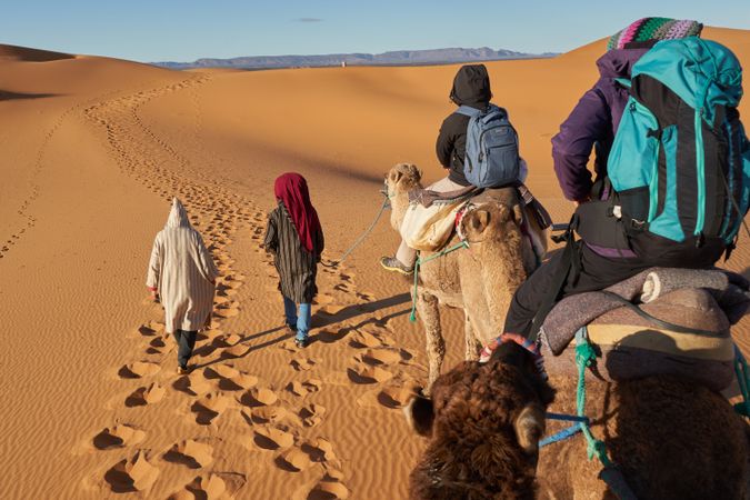 Camels and people going in desert
