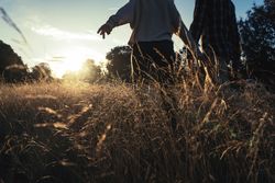 Loving couple walking in golden rural field