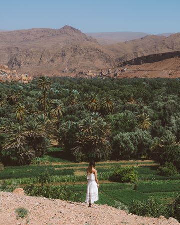 Woman in white against tropical garden