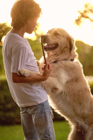 Boy having fun with dog in park