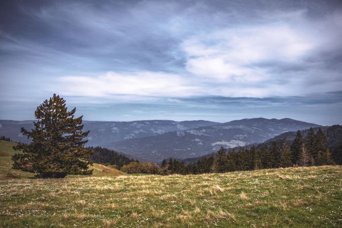 Grassy field in mountainous region