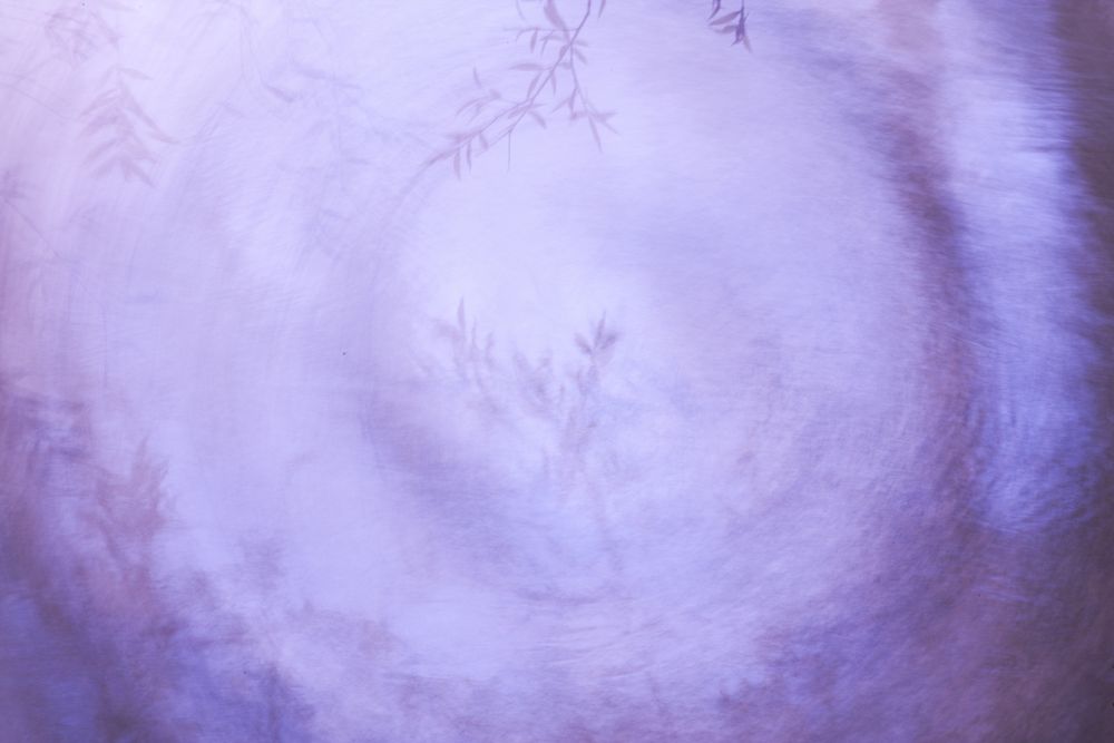 Typha plant in purple light spiral