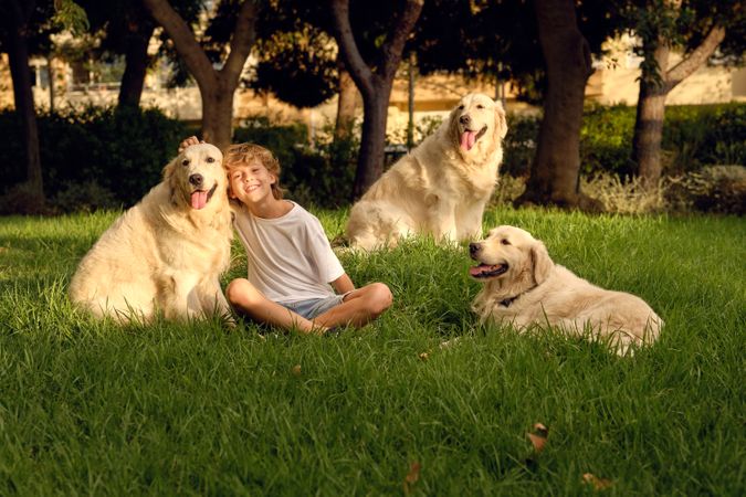 Cheerful boy with dogs on lawn in park