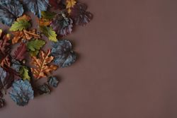 Fall leaves of amber, dark, green, and maroon on dark brown background
