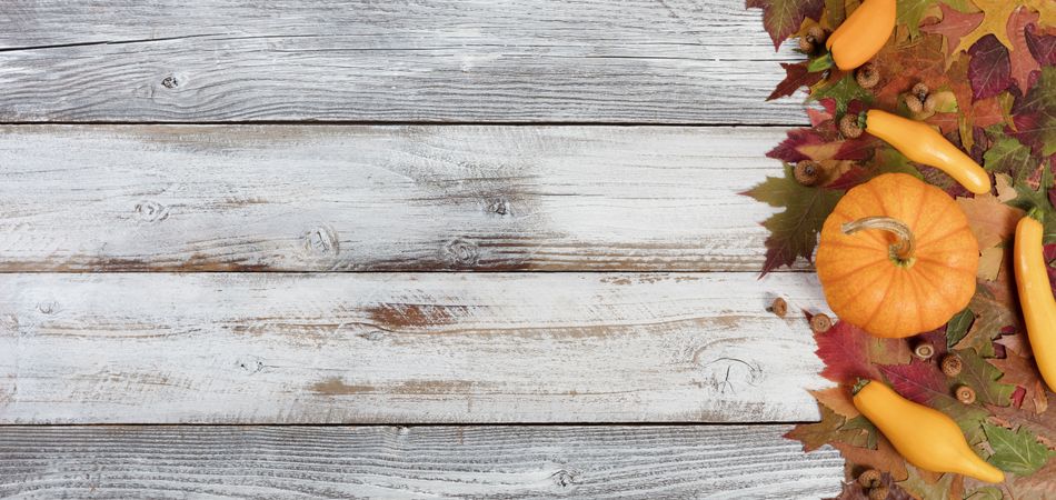 Seasonal vegetables with Autumn foliage on rustic wooden boards