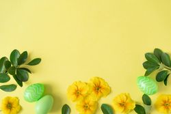 Yellow flowers and green Easter eggs on yellow background