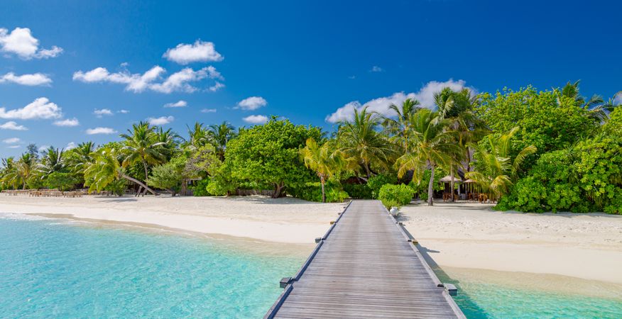 Dock over clear blue waters leading to tropical beach, wide