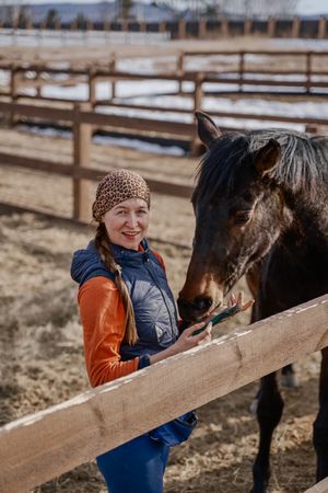 Worker caring for brown horse in open yard