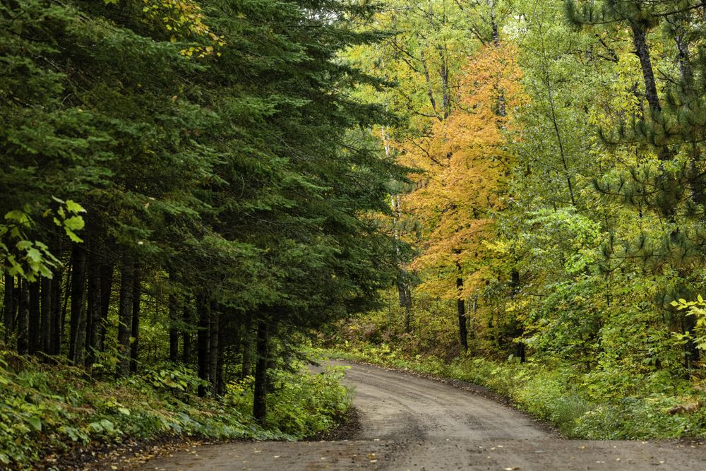 Loon Lake Road at Savanna Portage State Park in McGregor, Minnesota