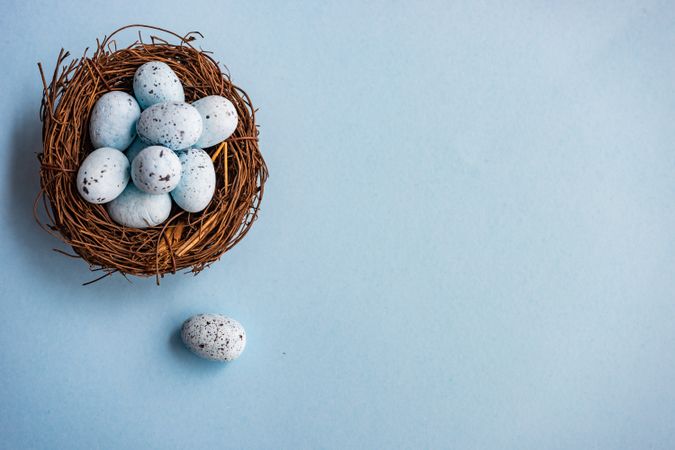 Easter holiday card with small speckled eggs in nest on pastel blue background