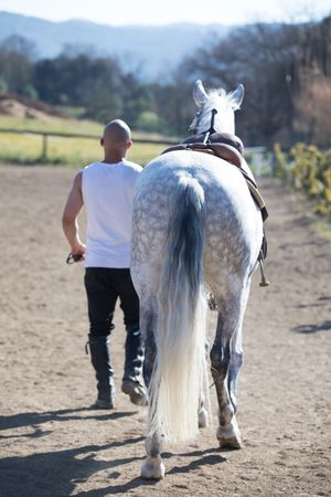 Back view of a man walking with his horse around paddock