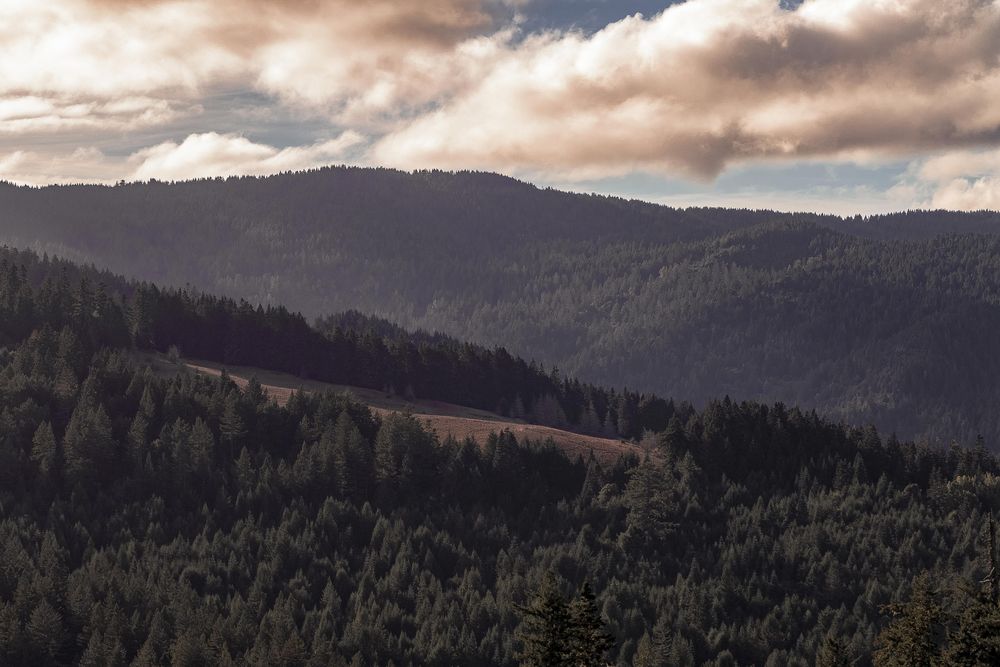 Beautiful day in the vast mountains of Northern California