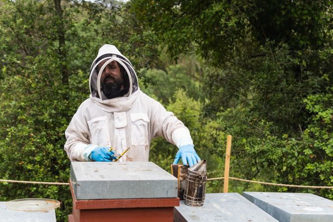 Male beekeeper using bee smoker in apiary