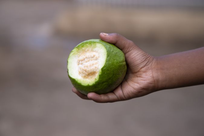 Hand-holding bite  of guava fruit with Shallow depth of field
