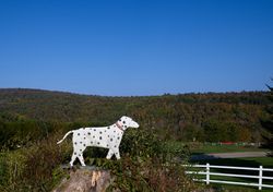 Dalmatian figure in the grass outside the Dog Chapel, St. Johnsbury, Vermont 0yXXGb